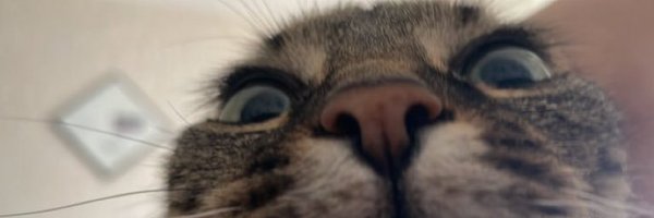 KurakoCS2 Profile Banner