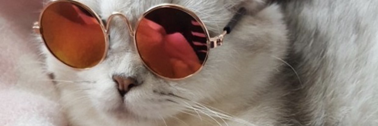 cleciamachado2's profile banner image
