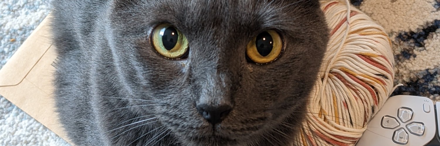 LiterallyMya's profile banner image