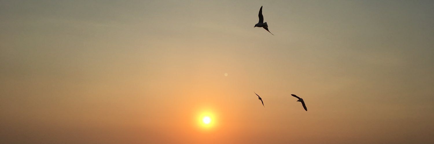 fary_tida's profile banner image