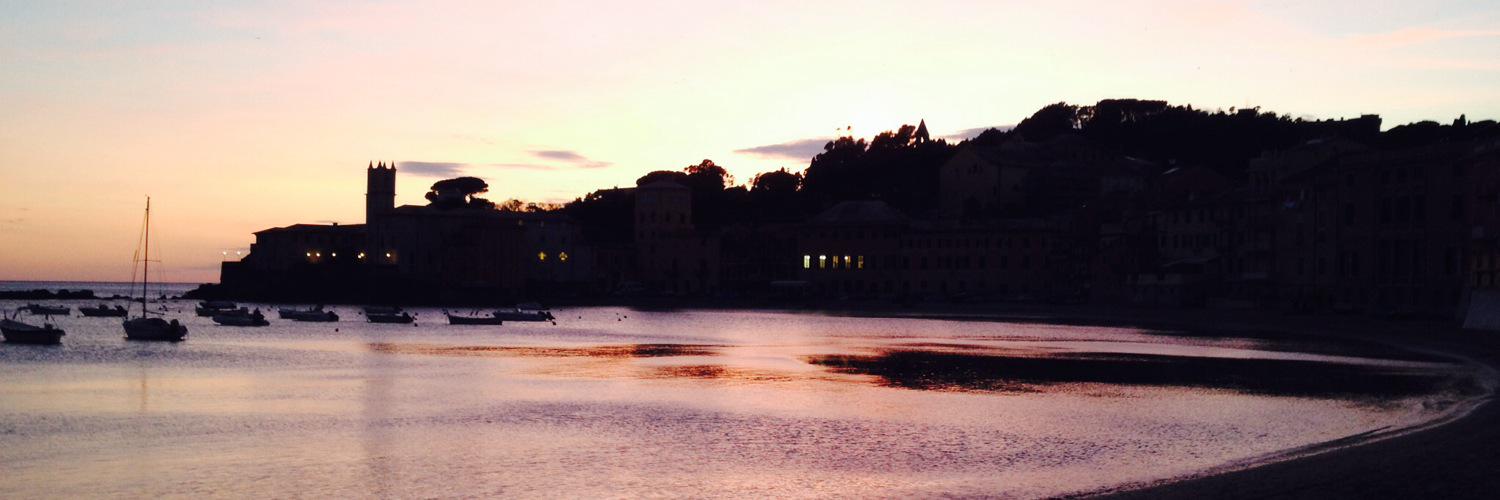 mvtomaini's profile banner image