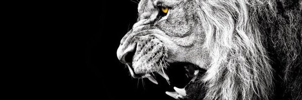 miss_ronya's profile banner image