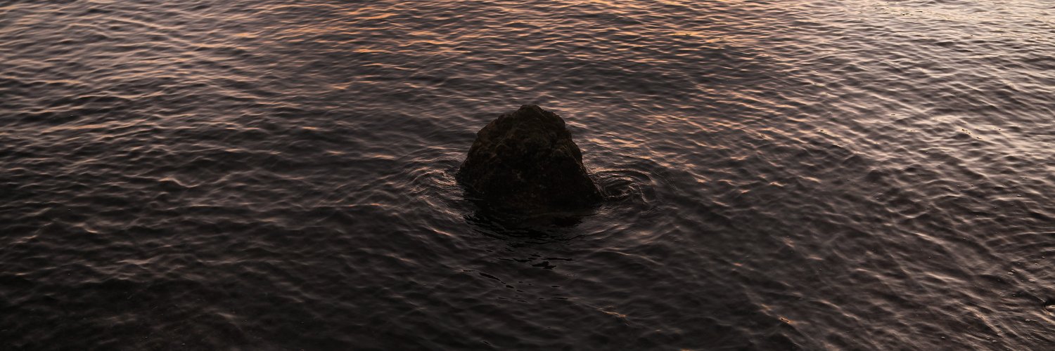 S Y M L banner