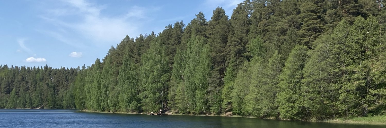 Heidi Kiiski banner