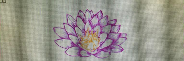 BeautyNanas's profile banner image