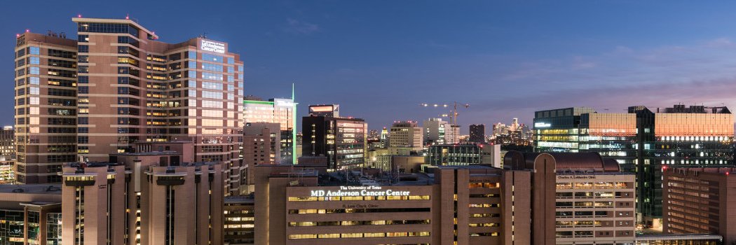 Elsa Arribas, MD banner