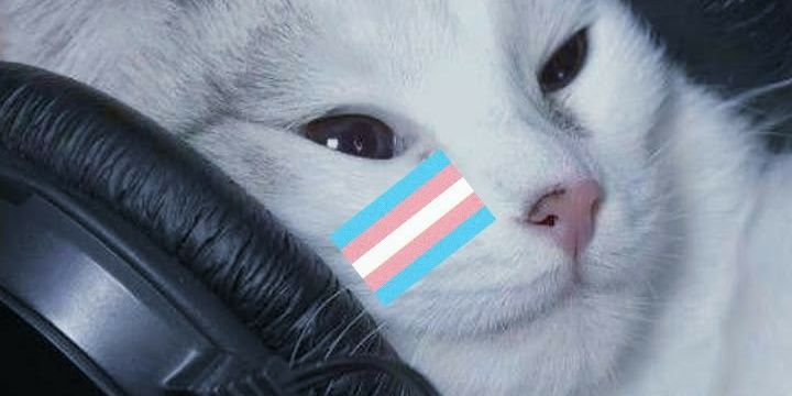 Tesbarbie2t2's profile banner image