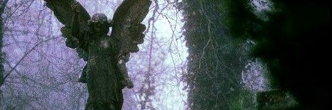 Lorem_Mellohi's profile banner image