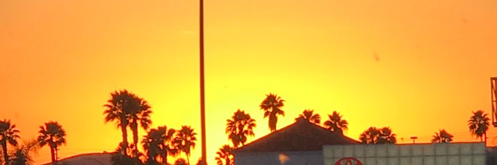 iDiTTOthat's profile banner image