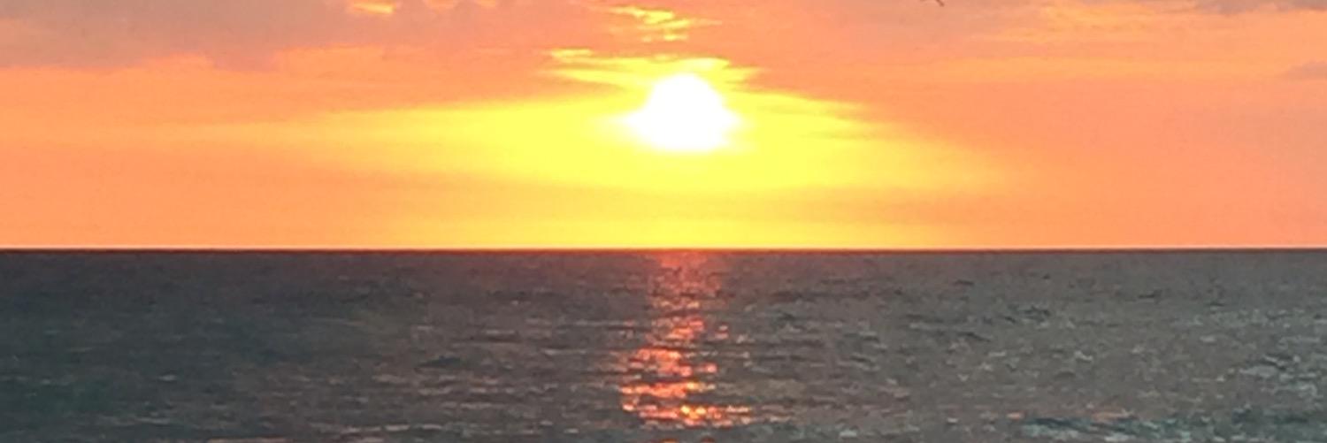 Stephanie Swartz Macy banner