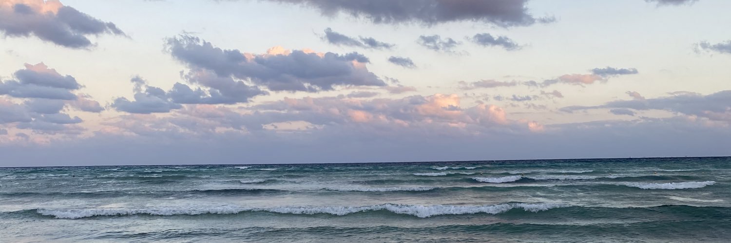 xoxoforevera's profile banner image