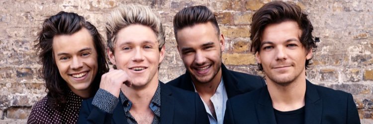 snow_direction's profile banner image