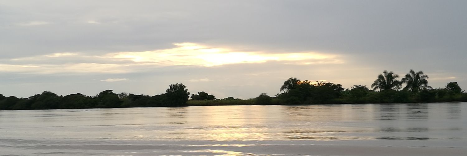 Lilacabrerag's profile banner image