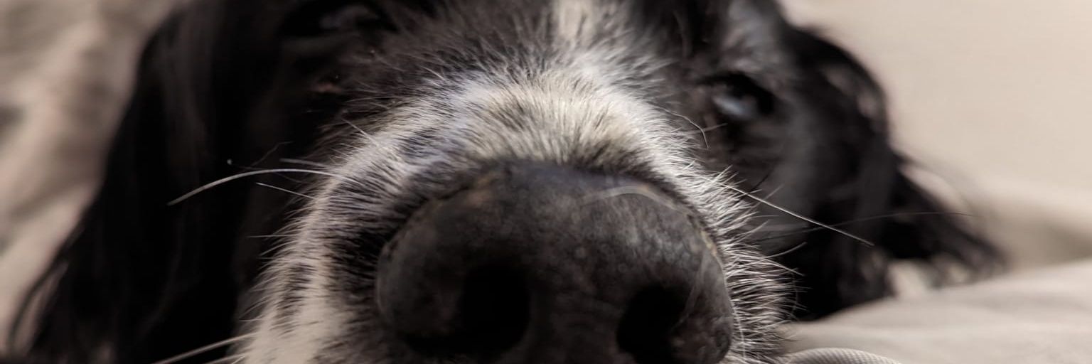 bibbs8963's profile banner image