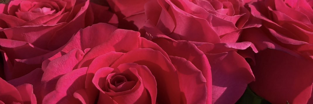 d_evteeva's profile banner image