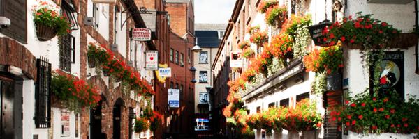 doybelfast Profile Banner