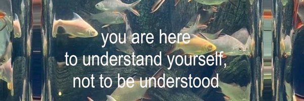 toopandir Profile Banner