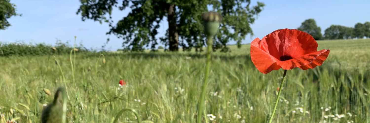 francessnicolee's profile banner image