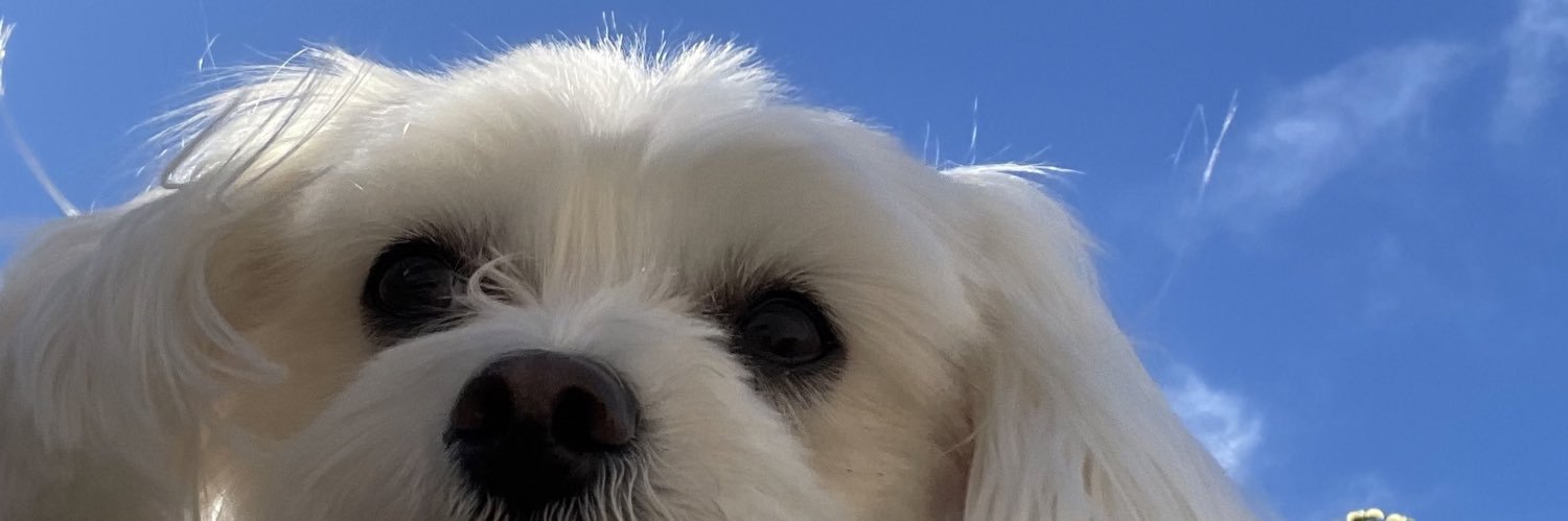 albaasant_'s profile banner image