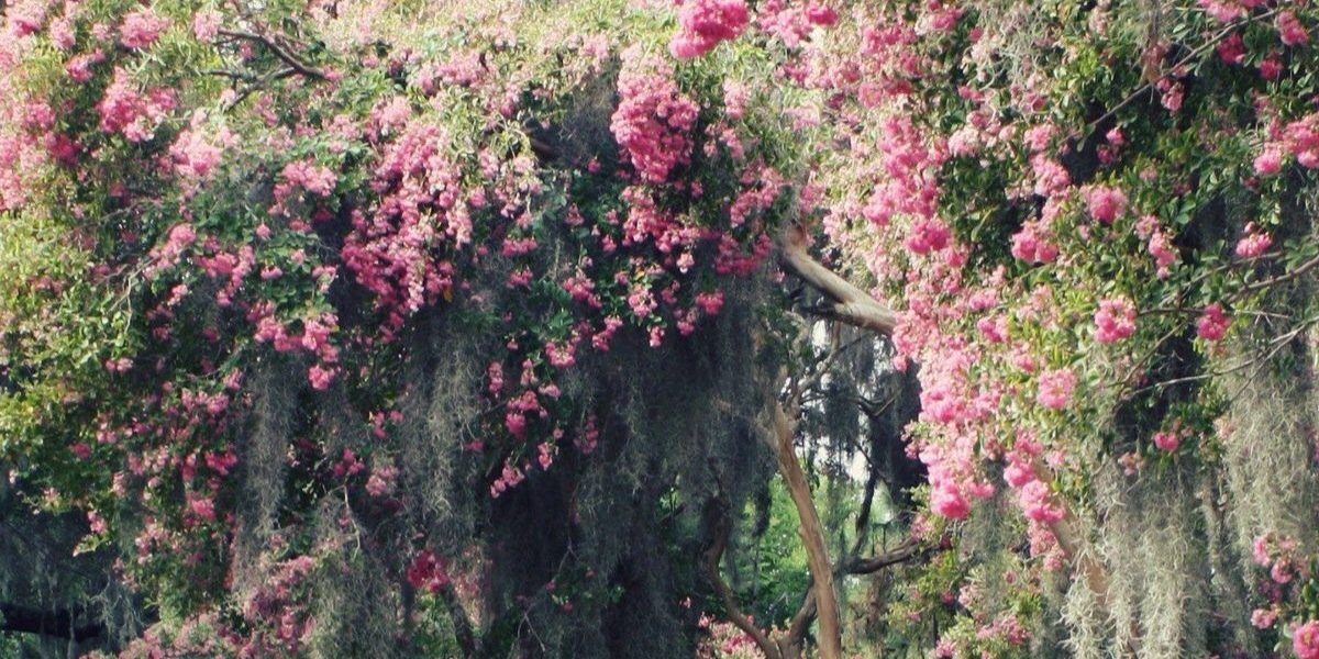 Kayla_Pruitt908's profile banner image