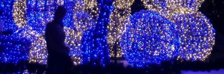 madeleina_olin's profile banner image