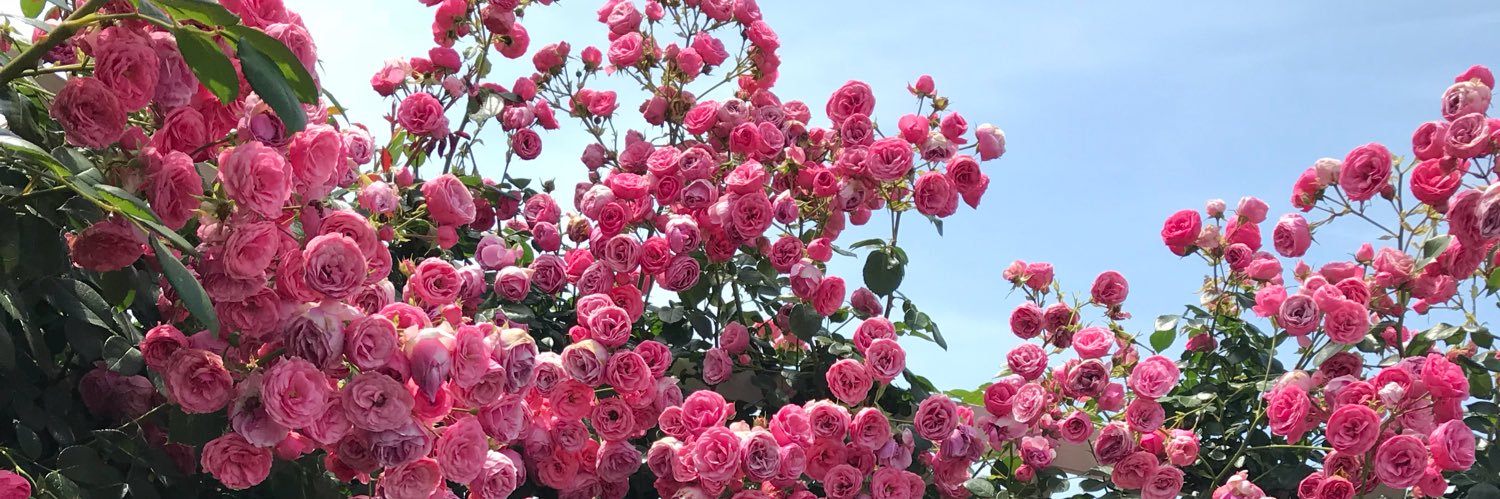 bay__32's profile banner image