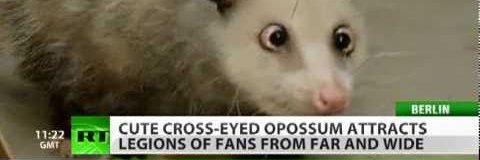 rippedthots's profile banner image