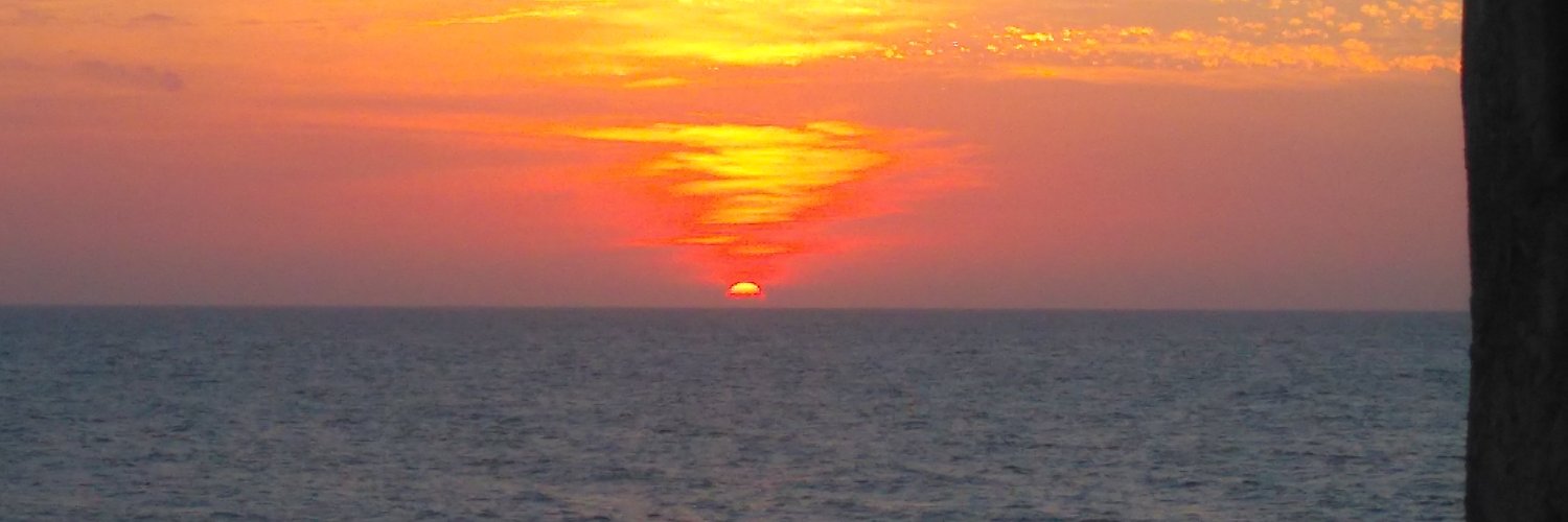 RicBarcelos73's profile banner image
