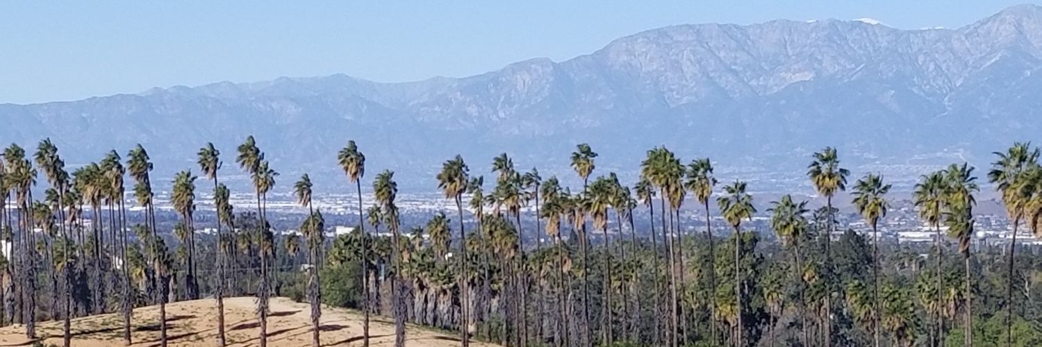Anthony Massey banner
