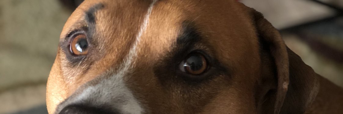 SHANArama_'s profile banner image