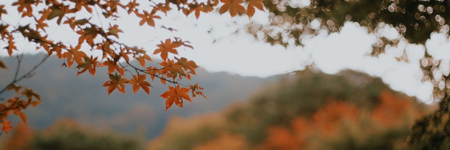 yuthaYAY's profile banner image