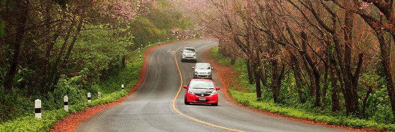 lovely4595's profile banner image