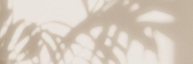 akane_nore's profile banner image
