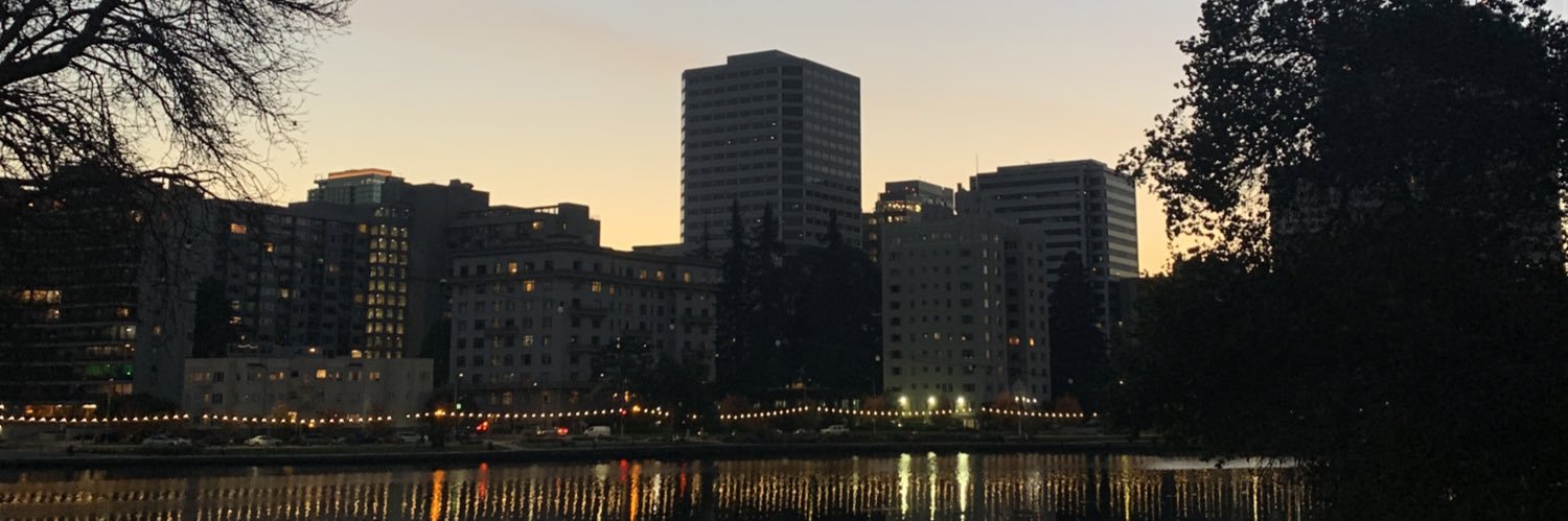 meztlibz's profile banner image