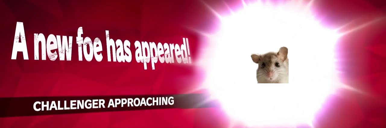 Bbfandstuffs's profile banner image
