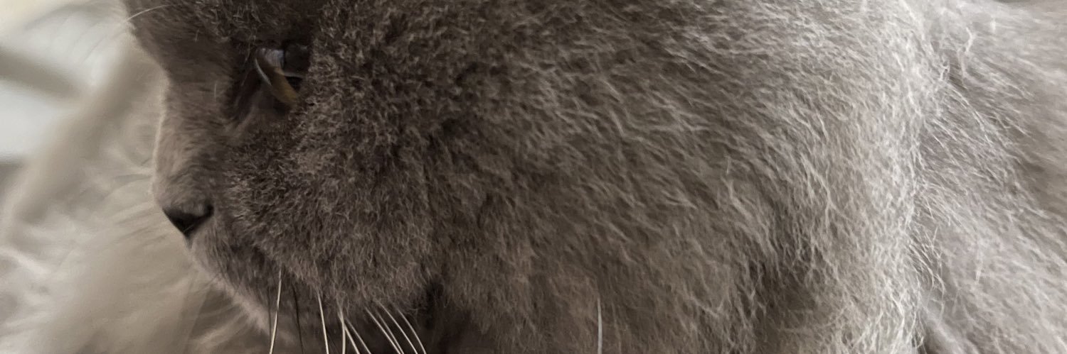 Rainaoriginal's profile banner image