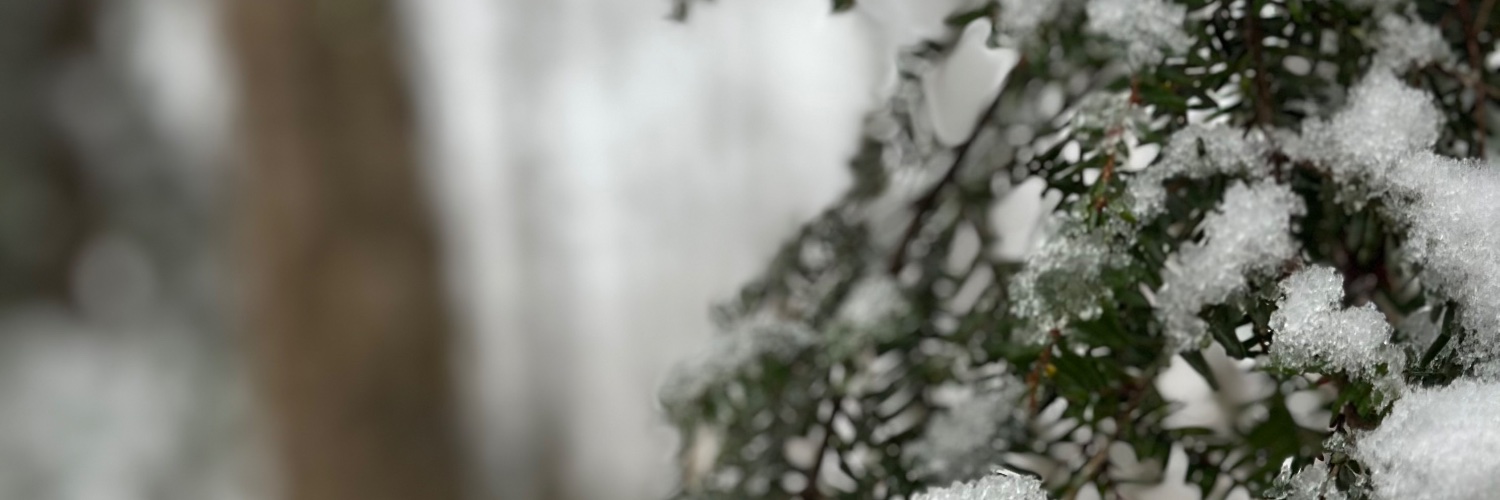 Artistic_Views's profile banner image