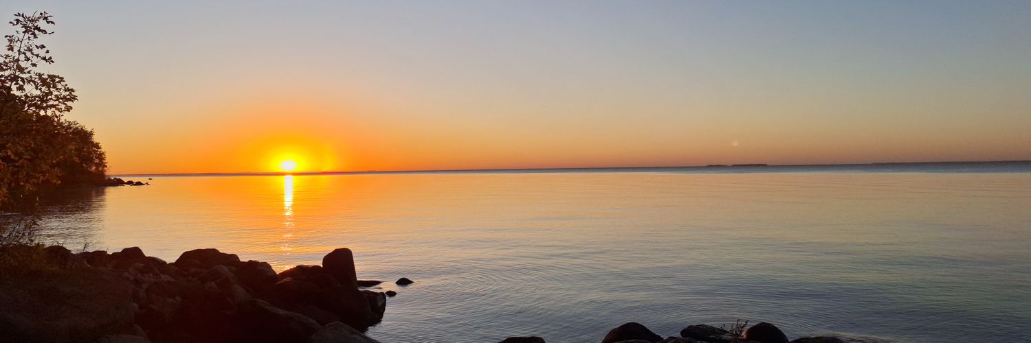 Mucking_Barn's profile banner image