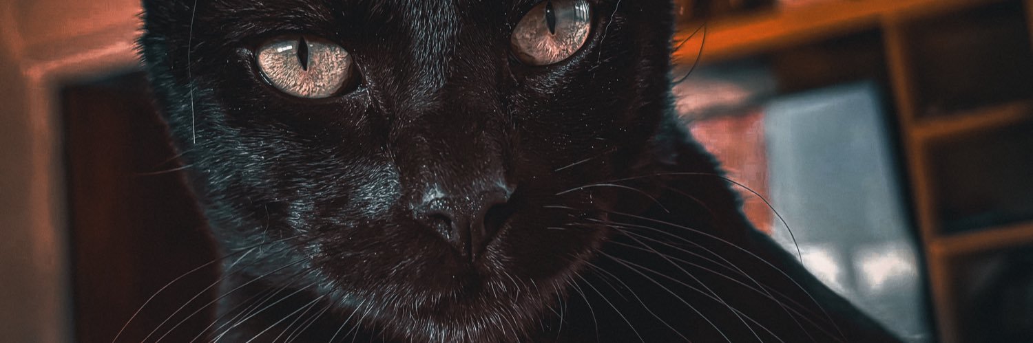 AlanMeeza's profile banner image