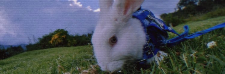 xsdgl_'s profile banner image