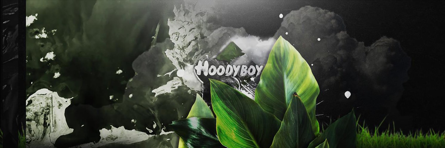 1Hoody's profile banner image