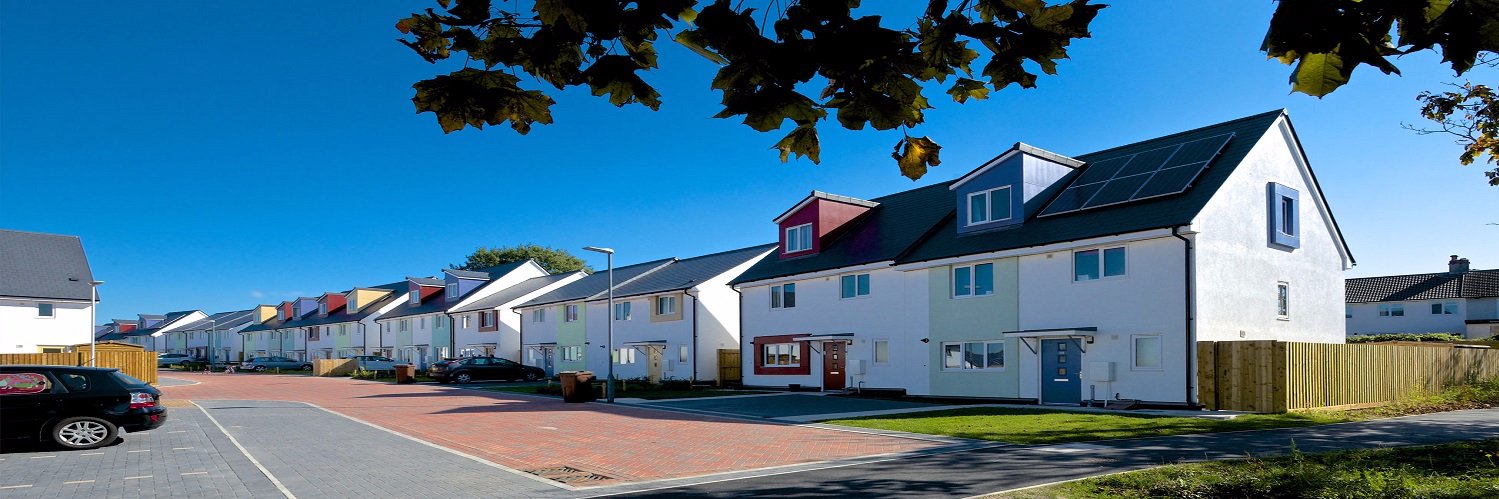 C&P Plastering banner