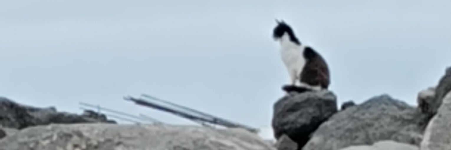 CanaStrikes's profile banner image