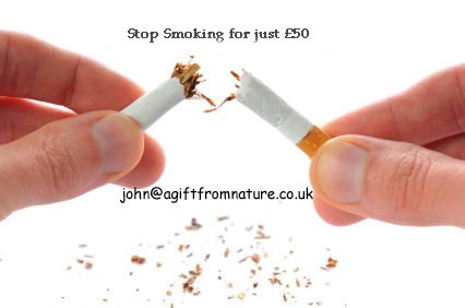 John McGoldrick banner