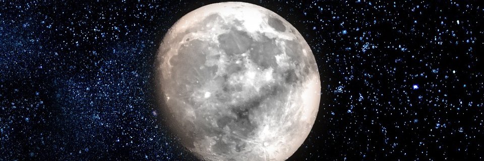 biocitati's profile banner image