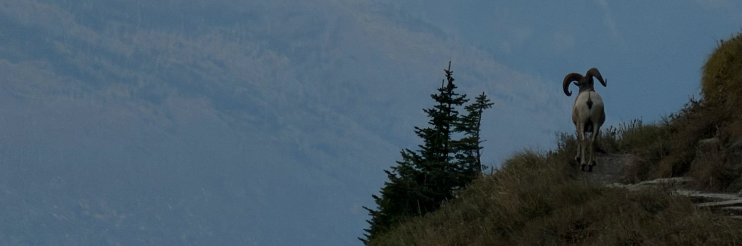 TrevorSuedmeyer's profile banner image
