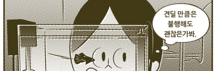 graynun_'s profile banner image