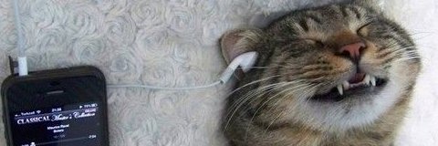 highwhenupset's profile banner image