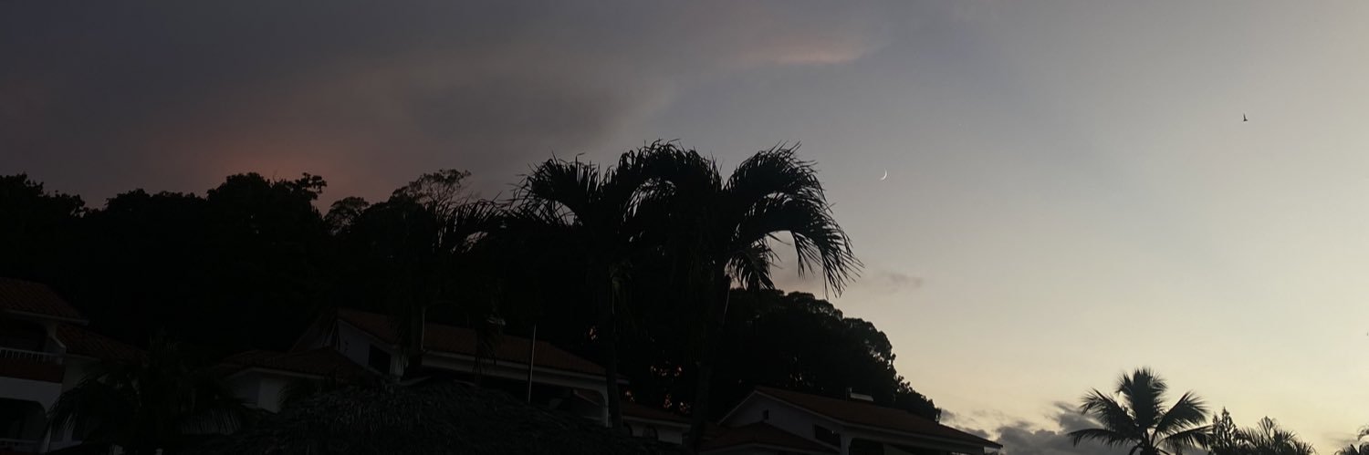 Beliixx3's profile banner image