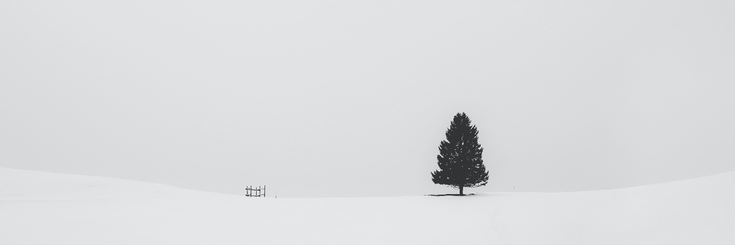 test2_qa's profile banner image